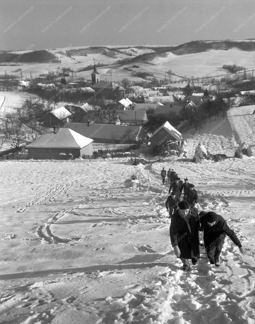 Szabadidő - Szánkózó gyerekek