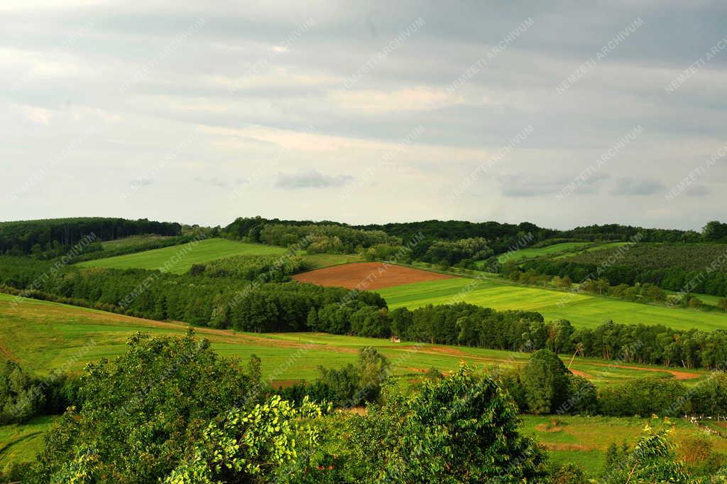 Táj, város - Kustánszeg - Panorámakép