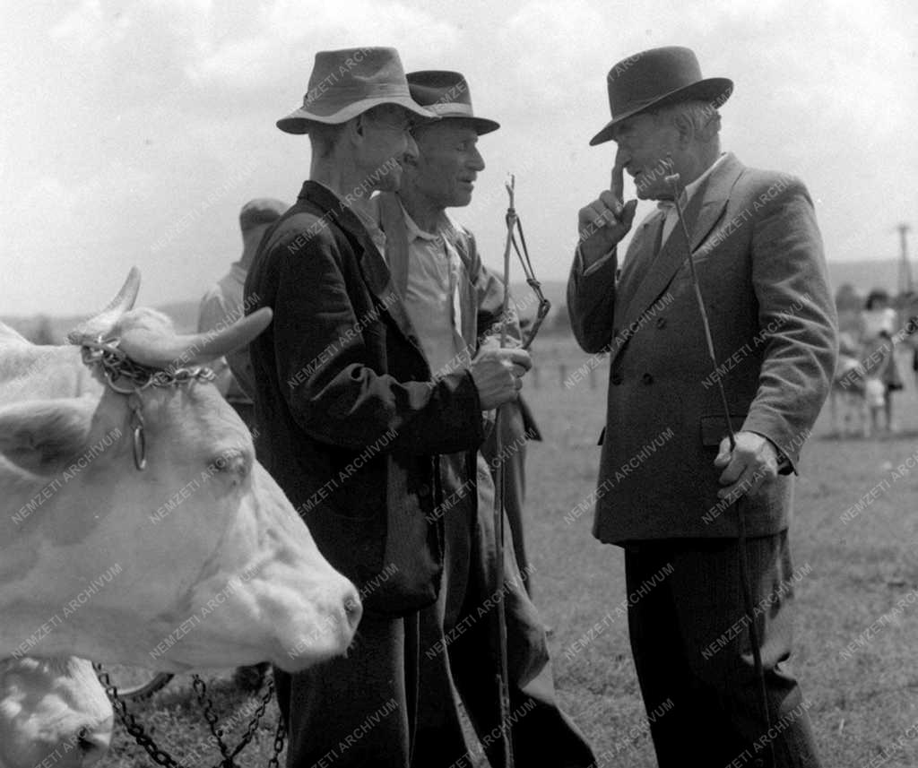 A szerző válogatása - Göcseji tájak, emberek