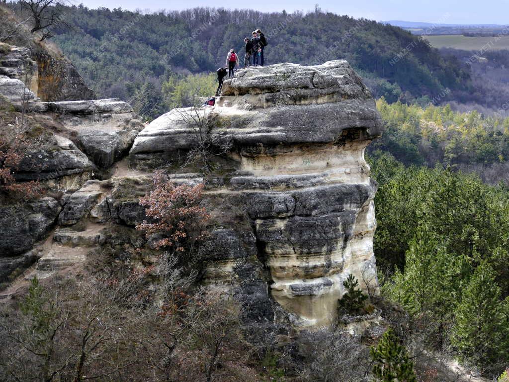 Természet - Biatorbágy - Turisták a Nyakas-kő sziklaormán 