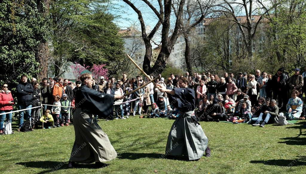 Szórakozás - Budapest - Sakura ünnep a Fűvészkertben