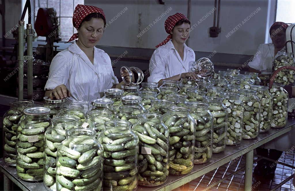 Élelmiszeripar - Kecskeméti Konzervgyár