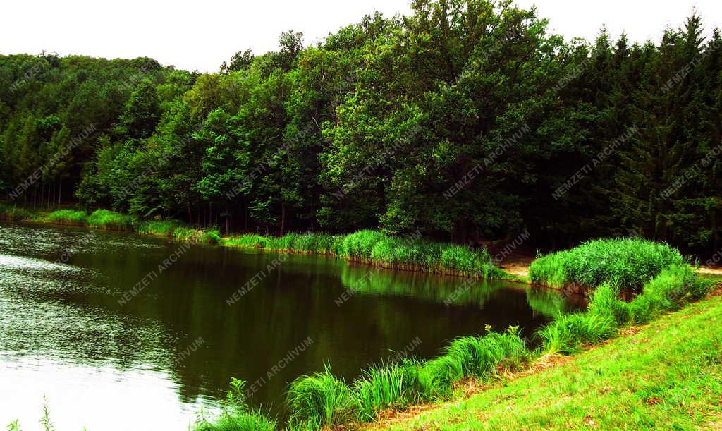 Tájkép - Szentgotthárd - Máriaújfalu  -  Víztározó