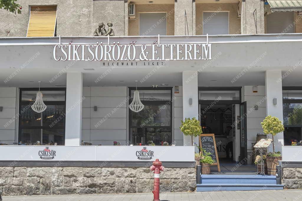 Vendéglátás - Tiltott Csíki Söröző & Étterem Mechwart Liget a Mailáth-házban 