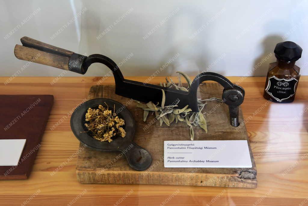 Természetvédelem - Egyház - Pannonhalmi Főapátsági Arborétum és Gyógynövénykert