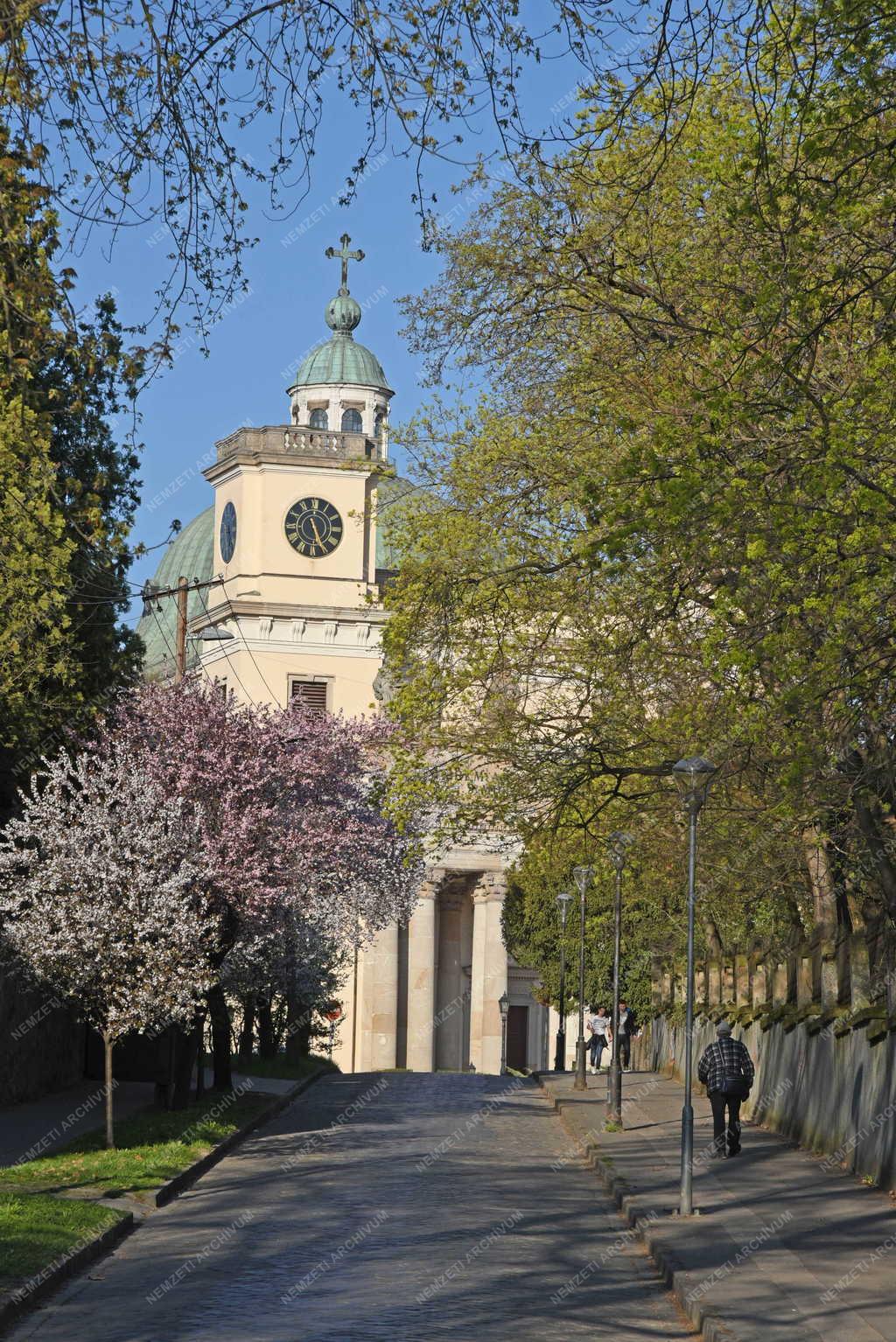 Városkép - Vác - Székesegyház