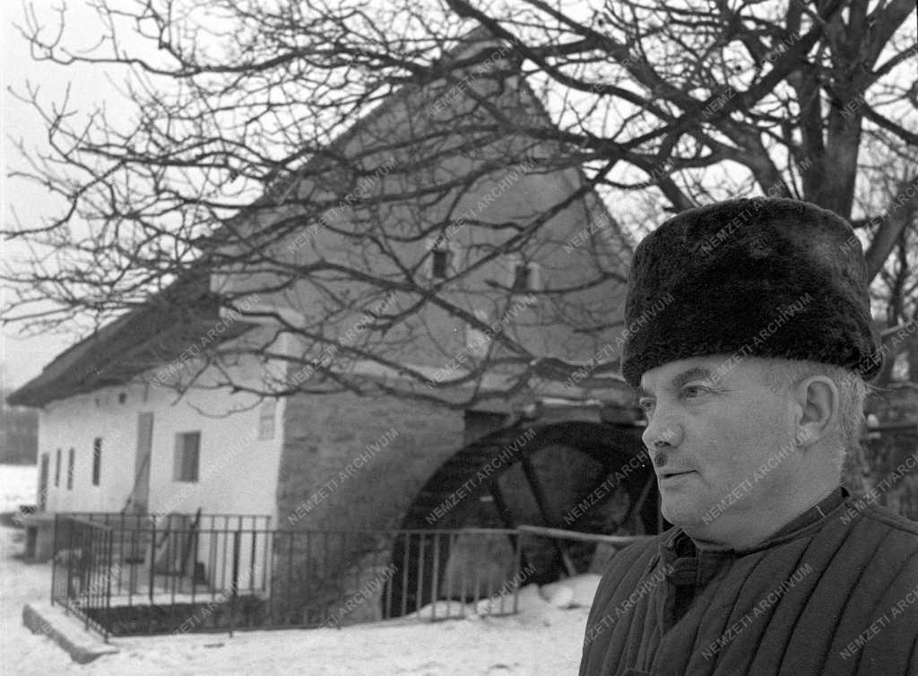 Mezőgazdaság - Molnár bácsi, a vízimolnár