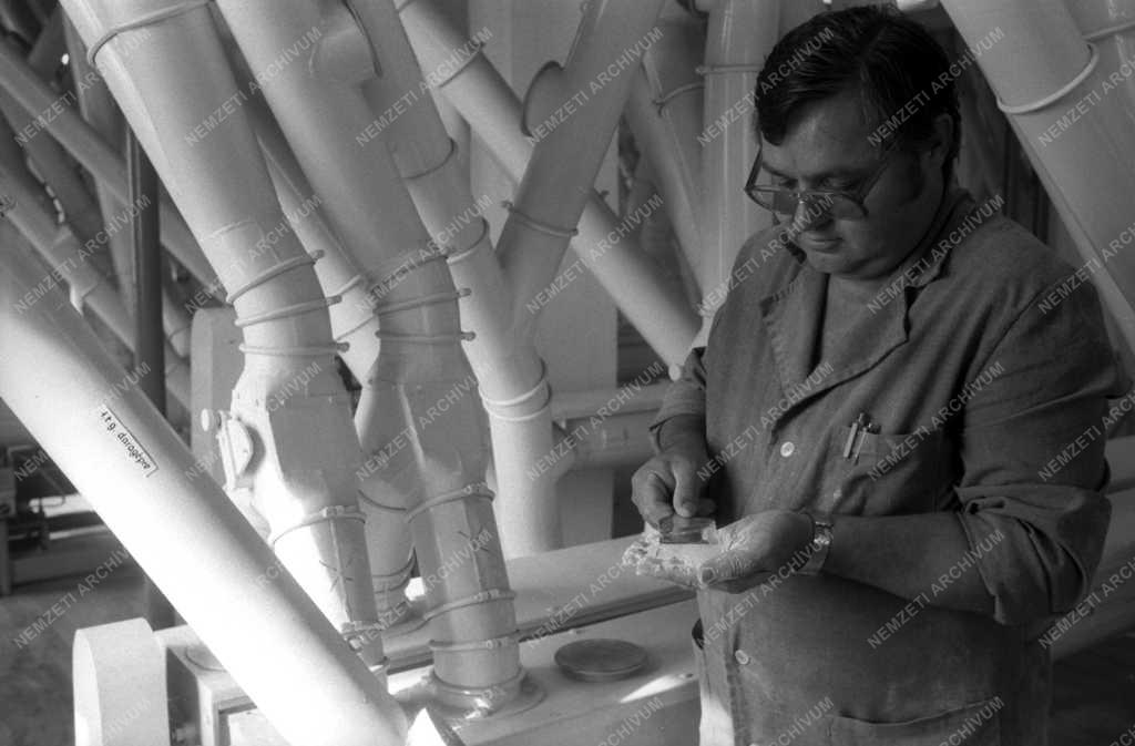 Élelmiszeripar - Budai malom