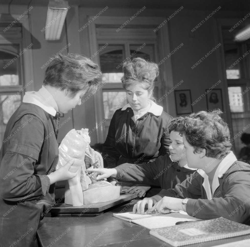 Oktatás - Egészségügy - Ápolónő képzés