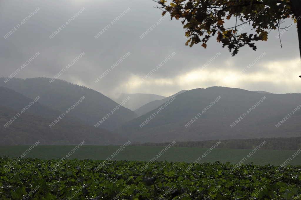 Tájkép - Füzér - Zempléni táj