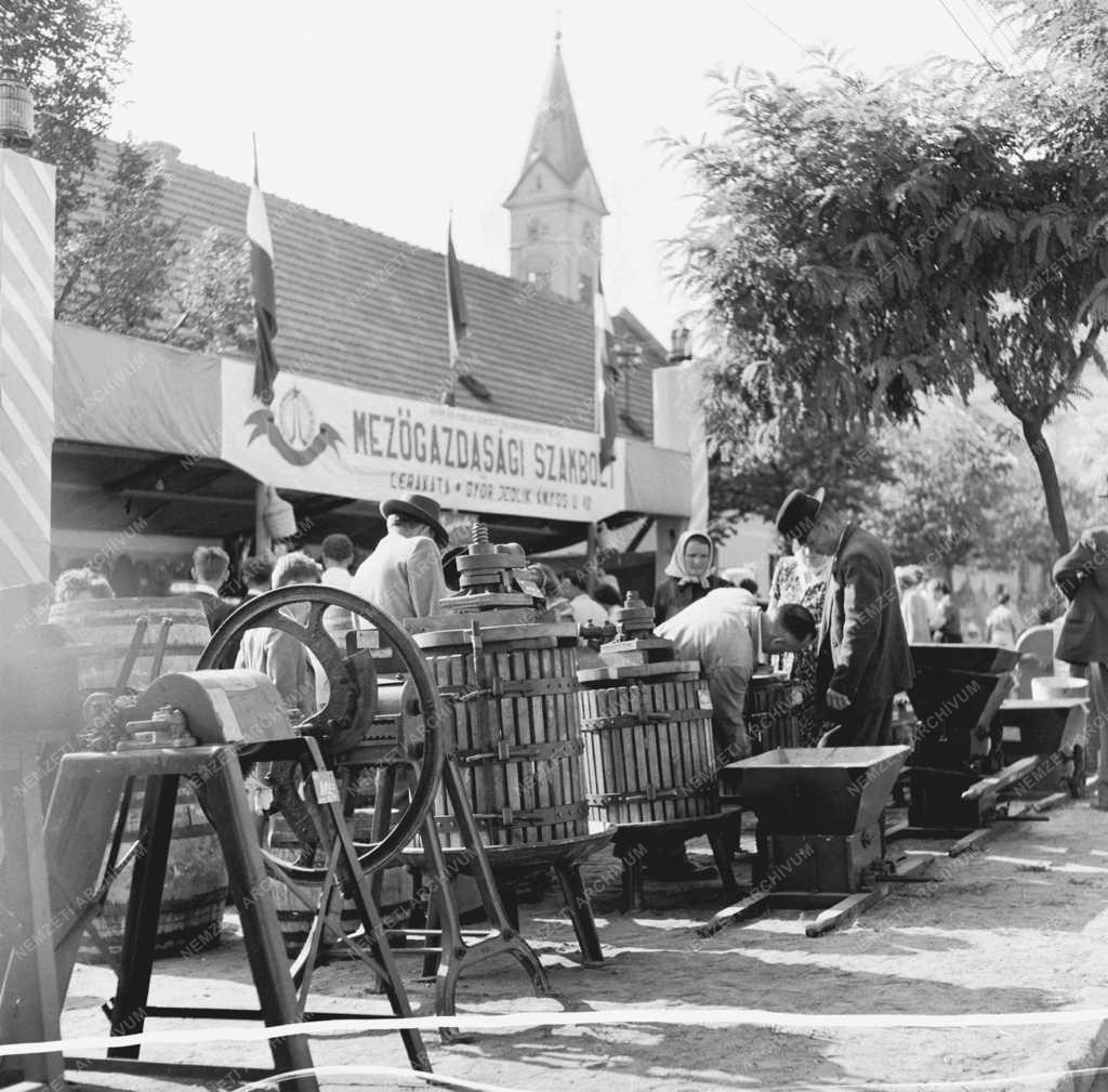 Szabadidő - Az Alkotmány ünnepe - Győr