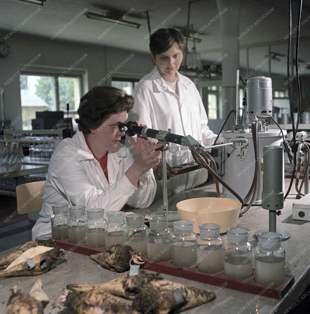 Mezőgazdaság - Növénynemesítési és Növénytermesztési  Kutató Intézet