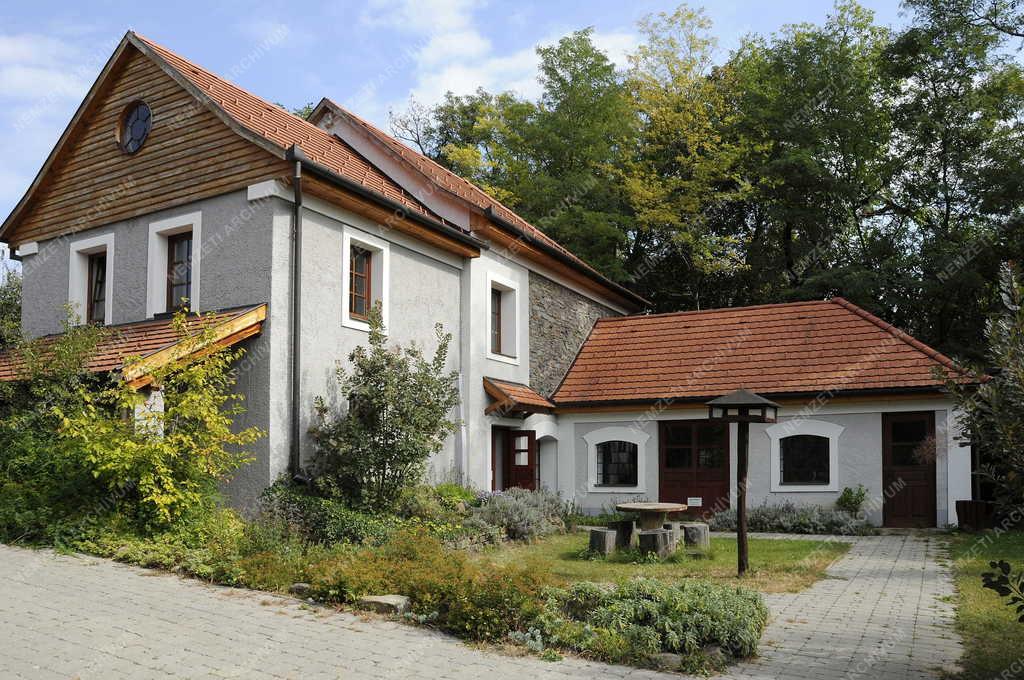 Táj, város - Zalaszántó - Vízimalom