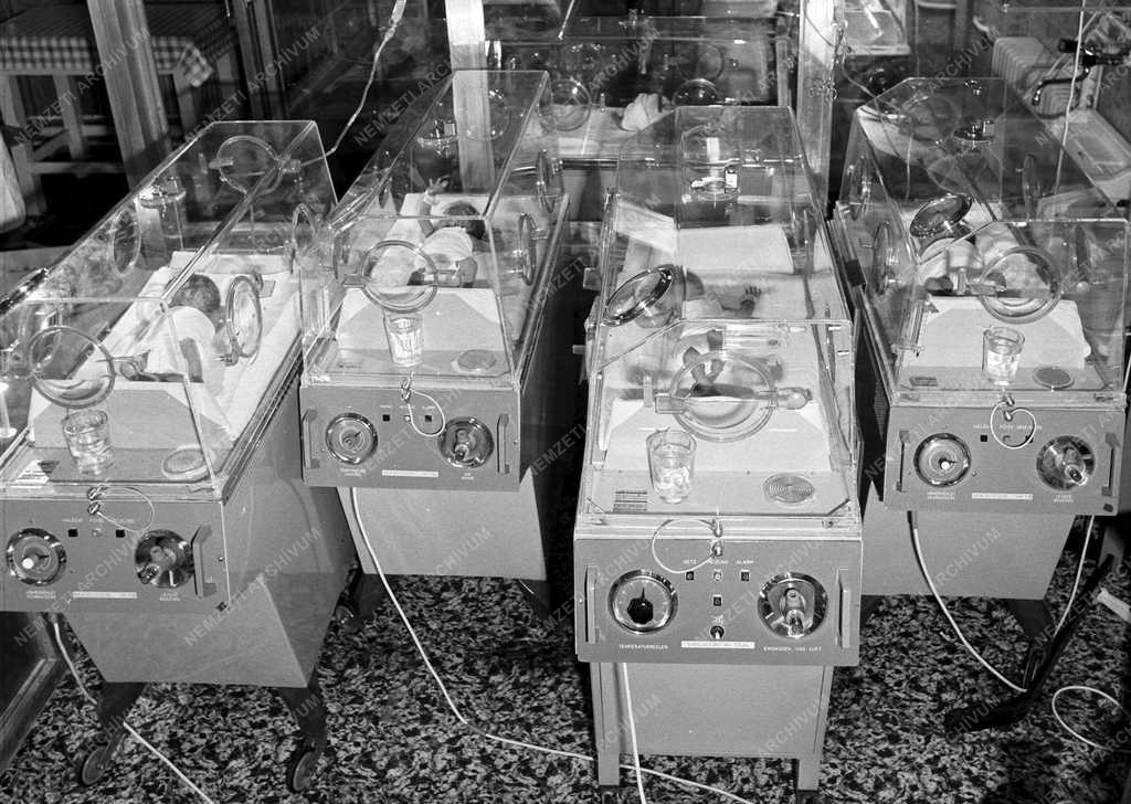 Család - Négyes ikrek születtek Székesfehérváron 