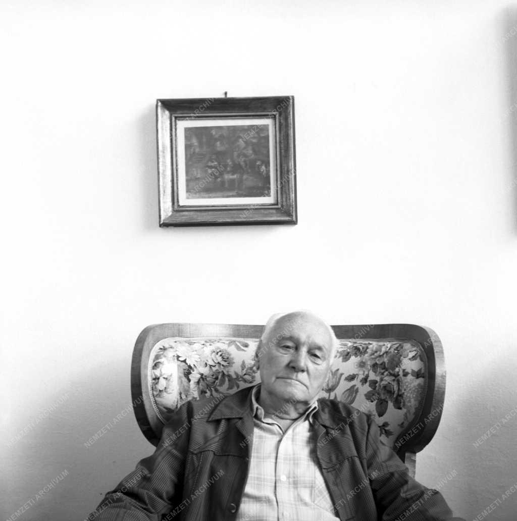 Képzőművészet - Kántor Andor festőművész