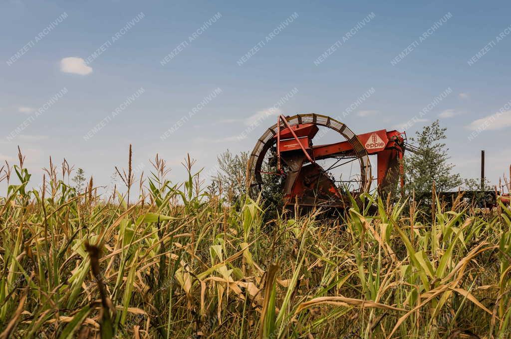 Időjárás - Aszály