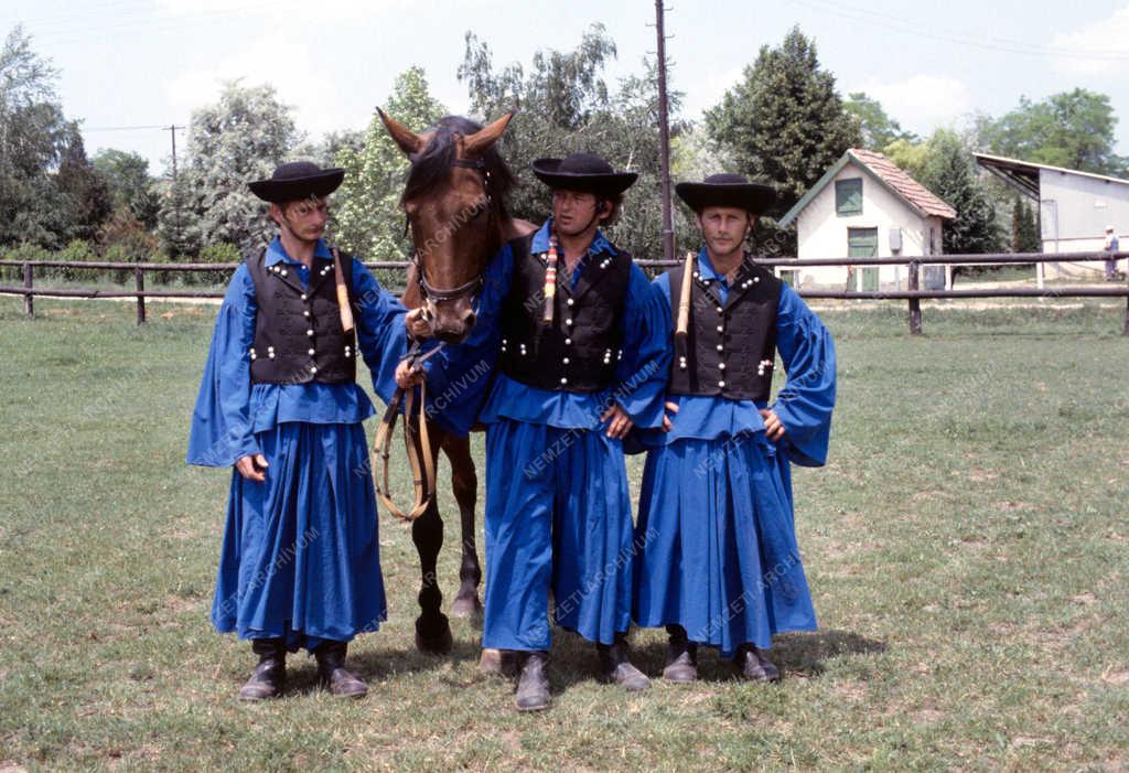 Mezőgazdaság - Állattenyésztés - Sáripuszta