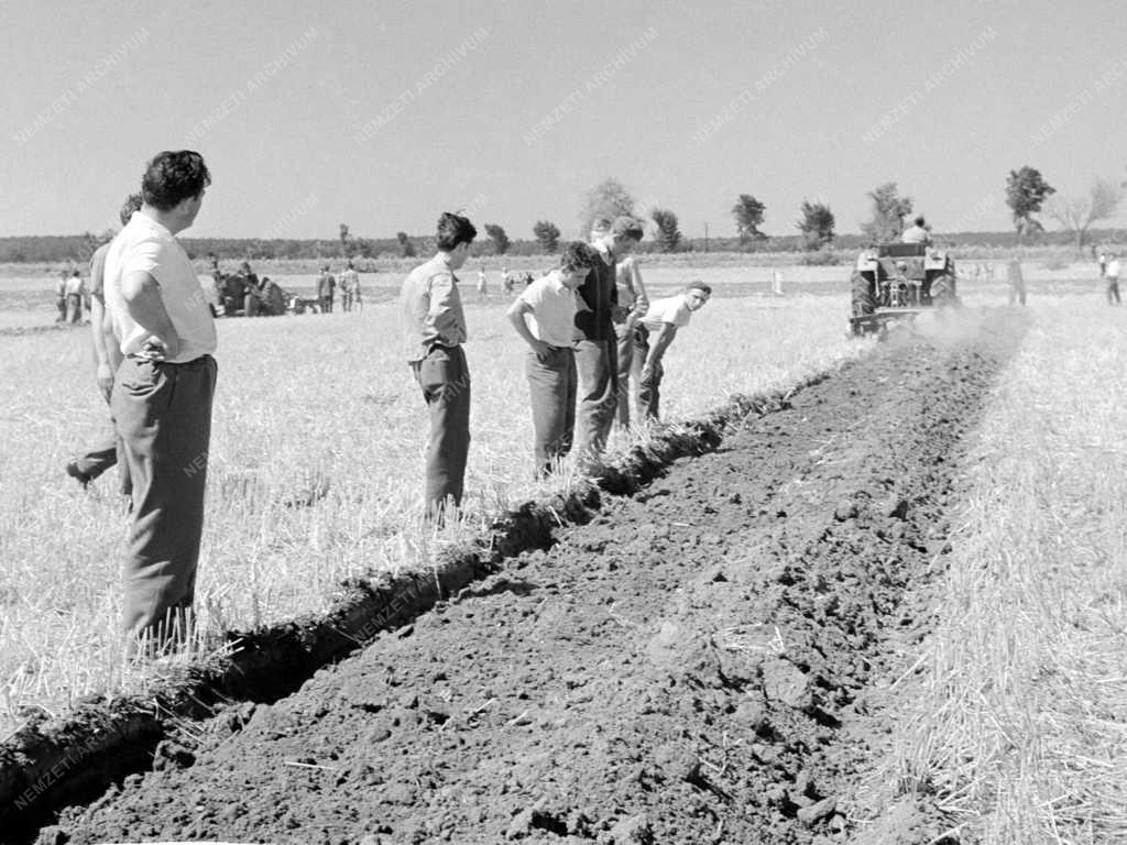 Mezőgazdaság – Járási szántóverseny Szabadságpusztán