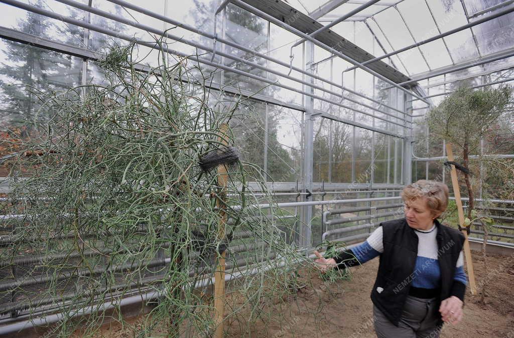 Épület - Debrecen - Új üvegház a botanikus kertben