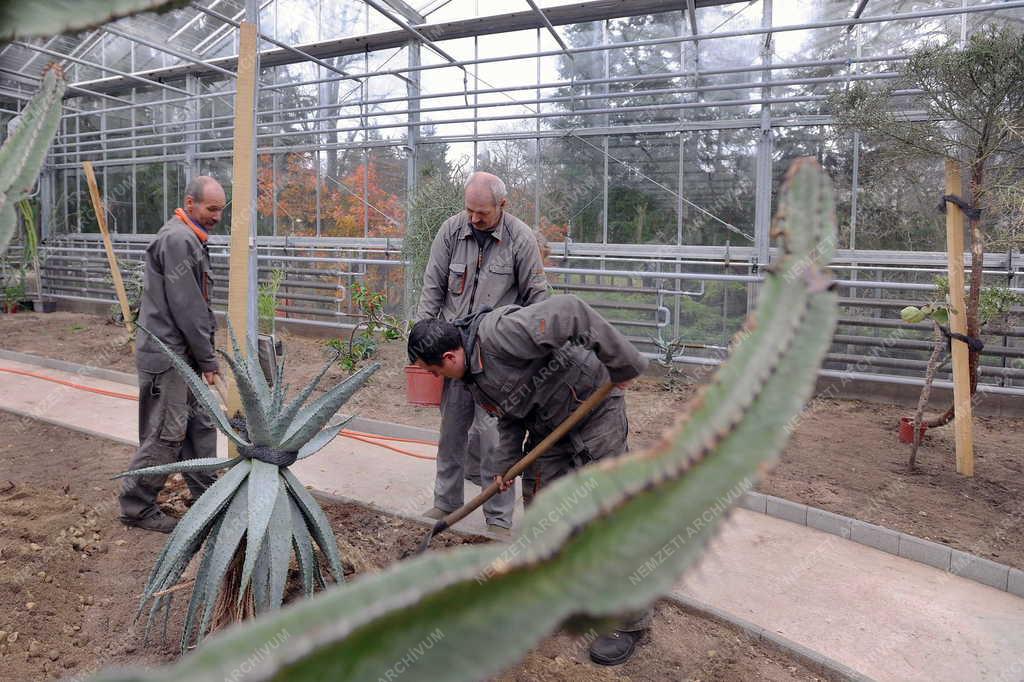 Épület - Debrecen - Új üvegház a botanikus kertben