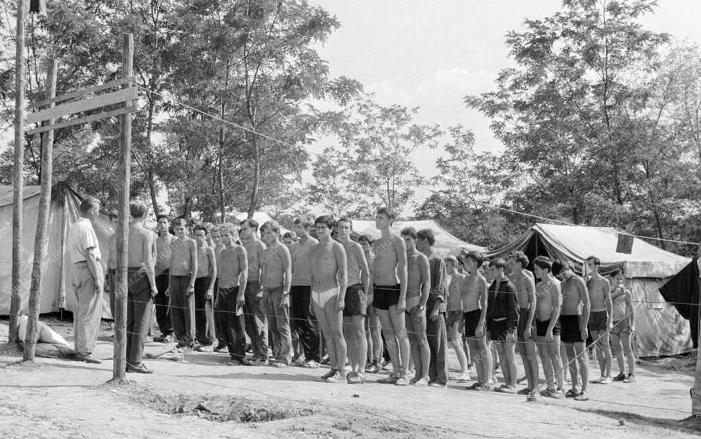 Szervezet - Településfejlesztés - Ifjúsági építőtábor Salgótarjánban