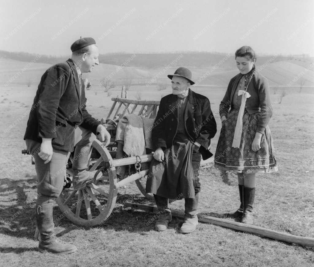 Mezőgazdaság - Kriskó János 12 holdas bánki mintagazda