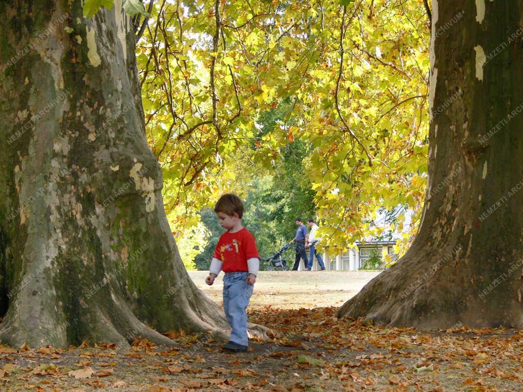 Martonvásár - A Brunswick-kastély parkja