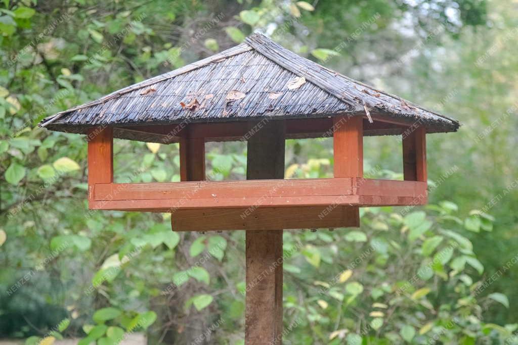 Természet - Alcsútdoboz - Madáretető az arborétumban