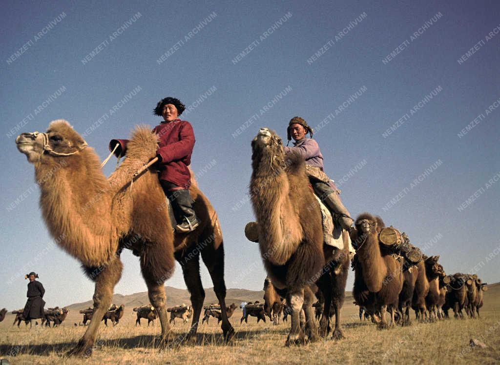 Életkép - Tájkép - Mongólia