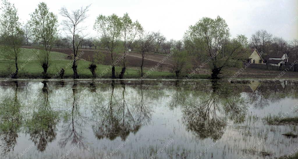 Természet - Tájkép