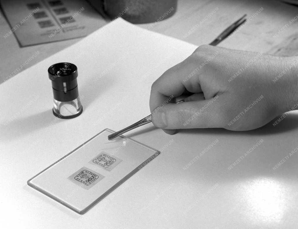Tudomány - Szakértői bélyegvizsgálat a Közlekedés- és Postaügyi Minisztérium bélyegmúzeumában
