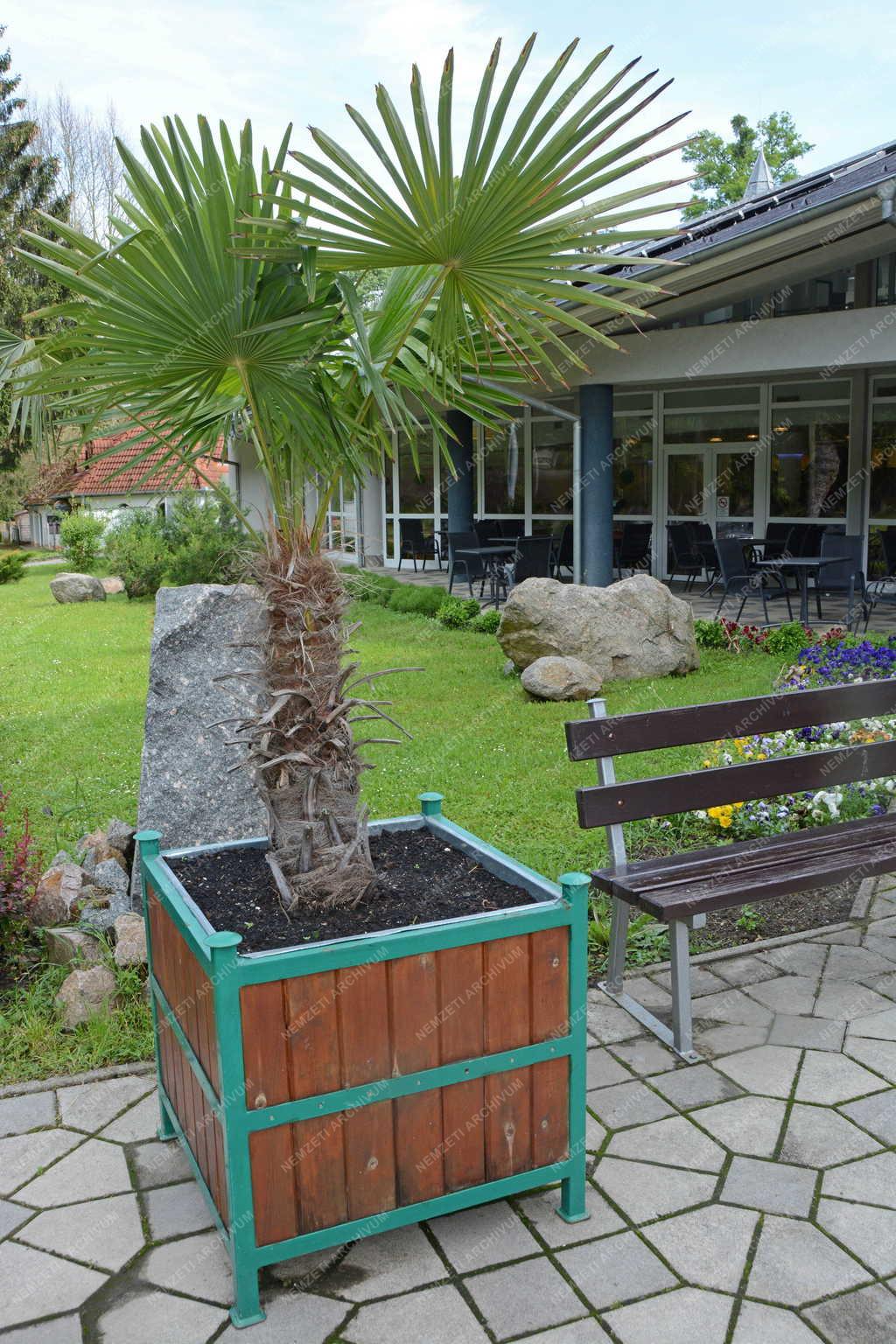 Turizmus - Sikonda - Ambient Hotel 