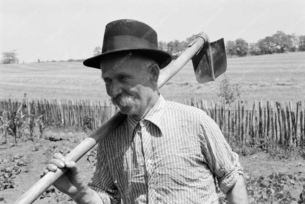 Mezőgazdaság - Parasztportré