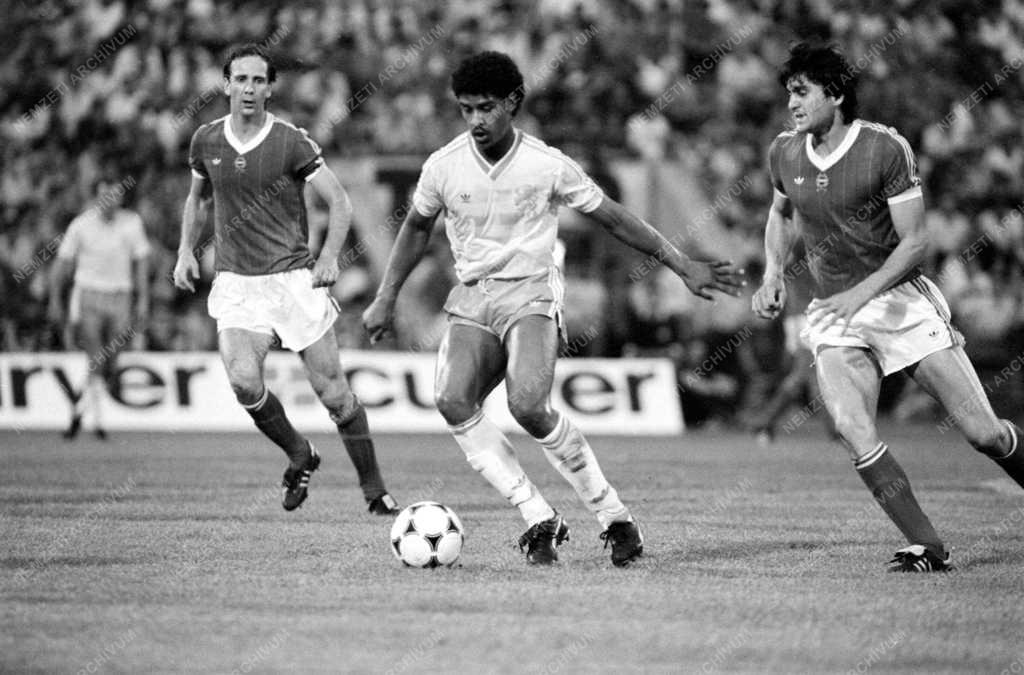 Magyarország-Hollandia VB selejtező