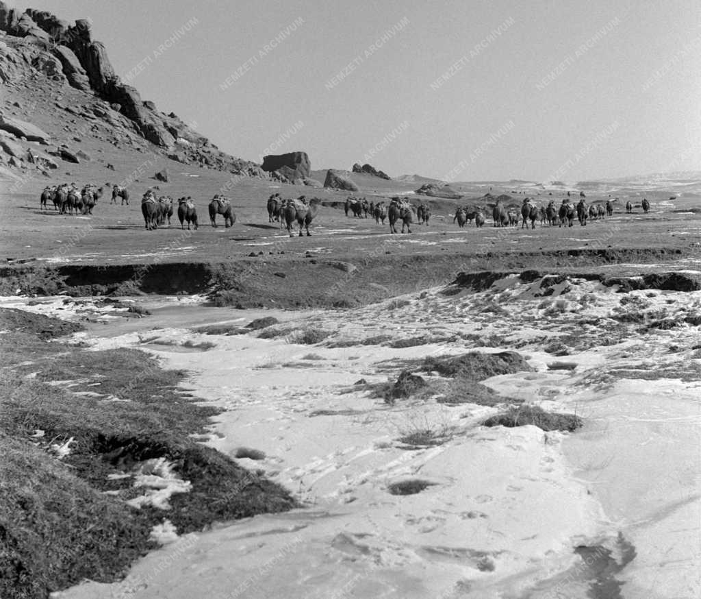 Tájkép - Mongólia