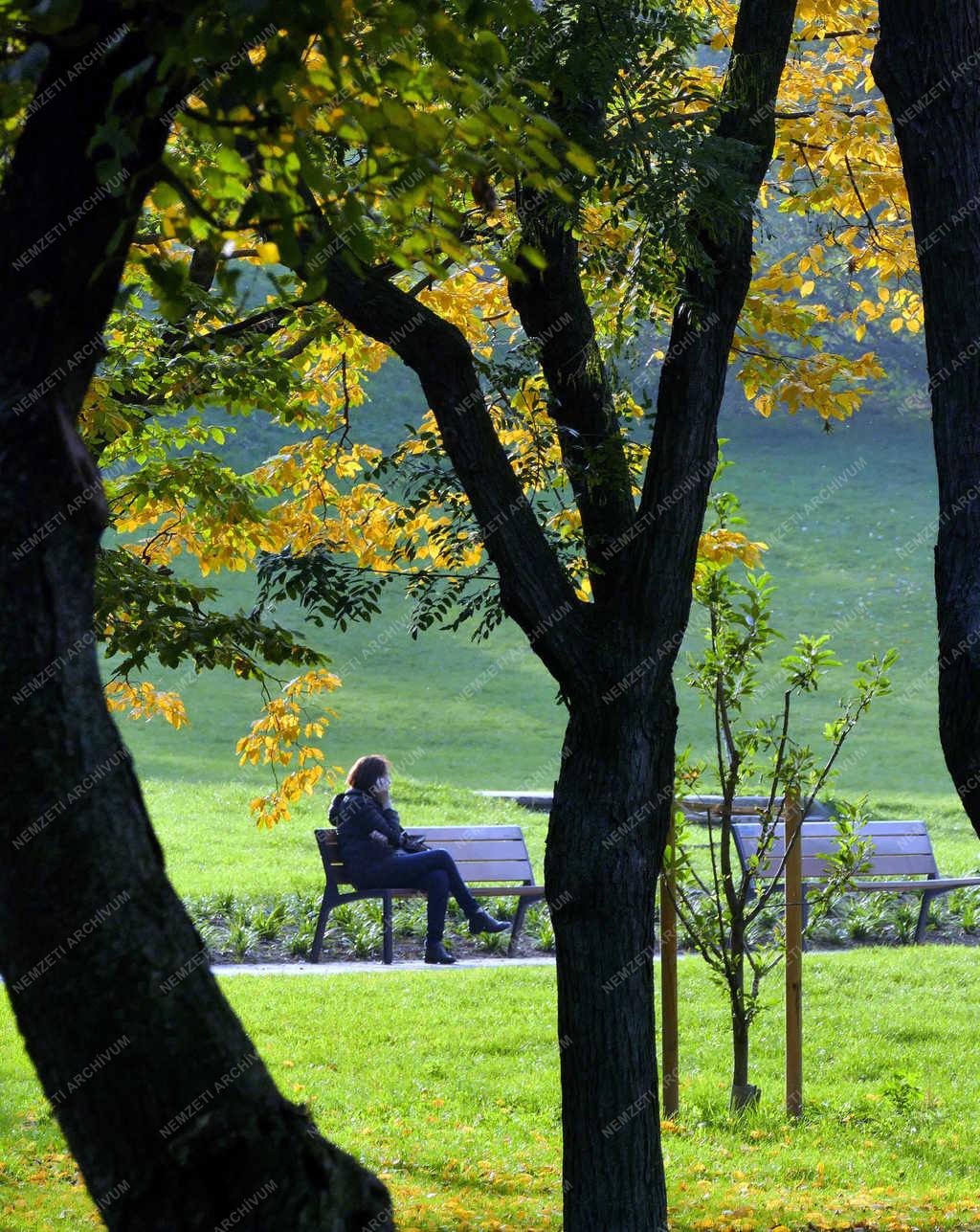 Természet - Budapest - Ősz a Tabán parkjában