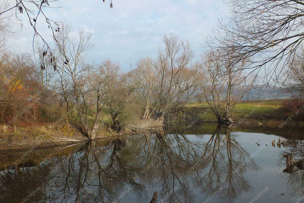 Természet - Letkés - Ipoly holtág