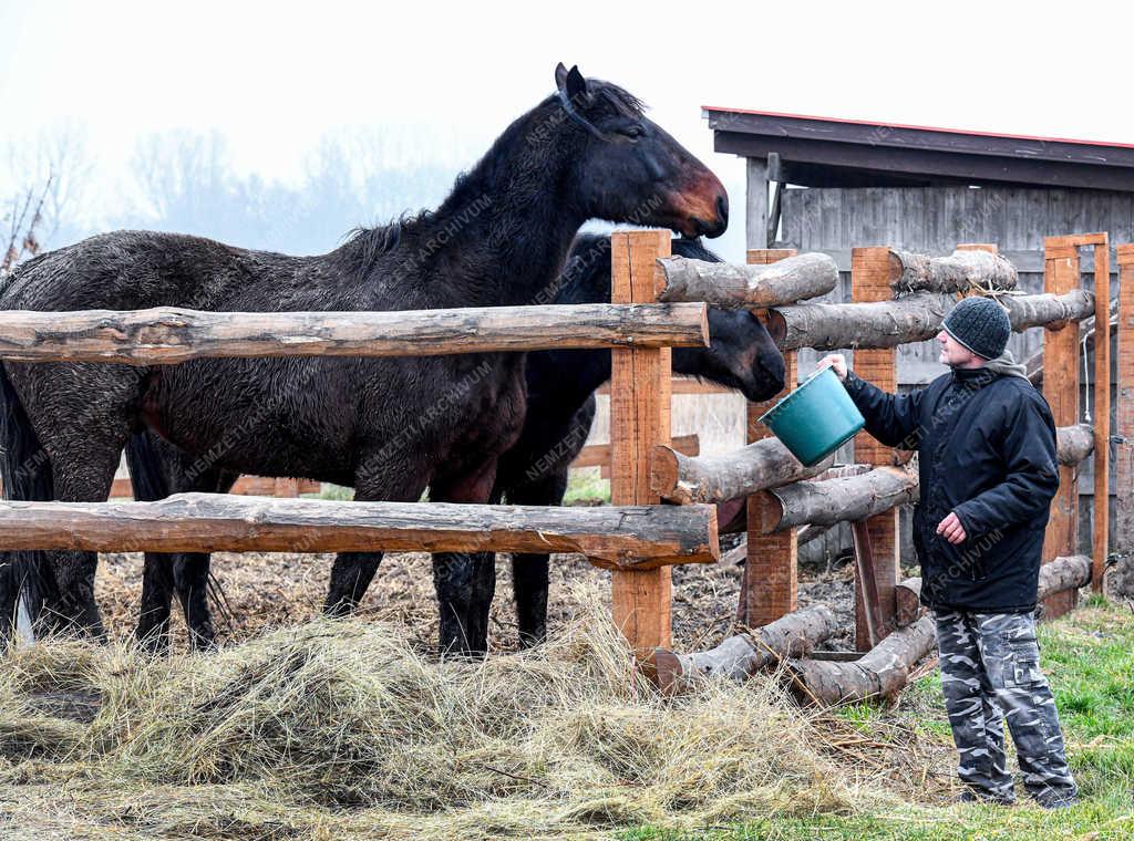 Idegenforgalom - Hortobágy - Állatpark-felújítás 