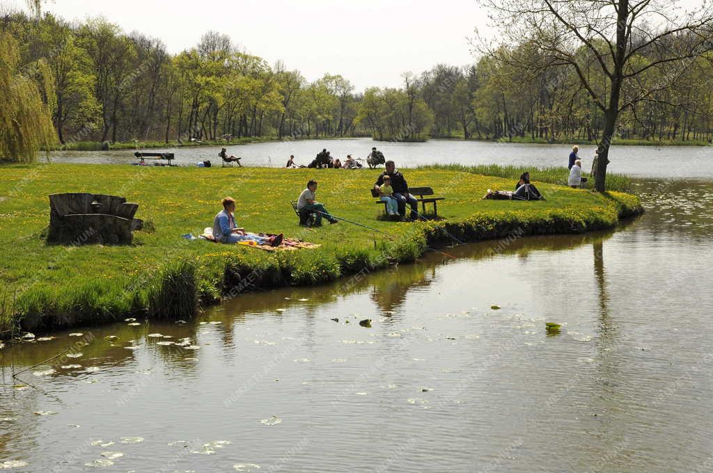 Táj, város - Dég - Festetics kastély parkja