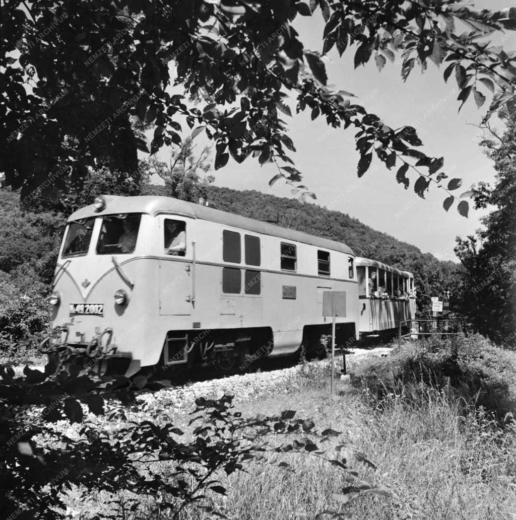 Közlekedés - Szervezet - Úttörővasút