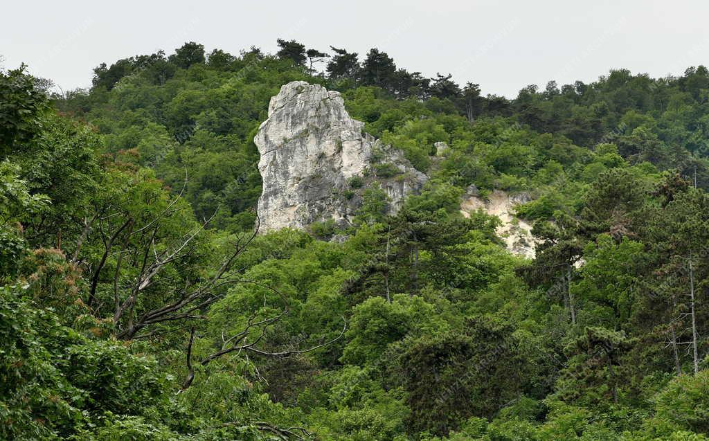Természet - Budapest - Tündér-szikla