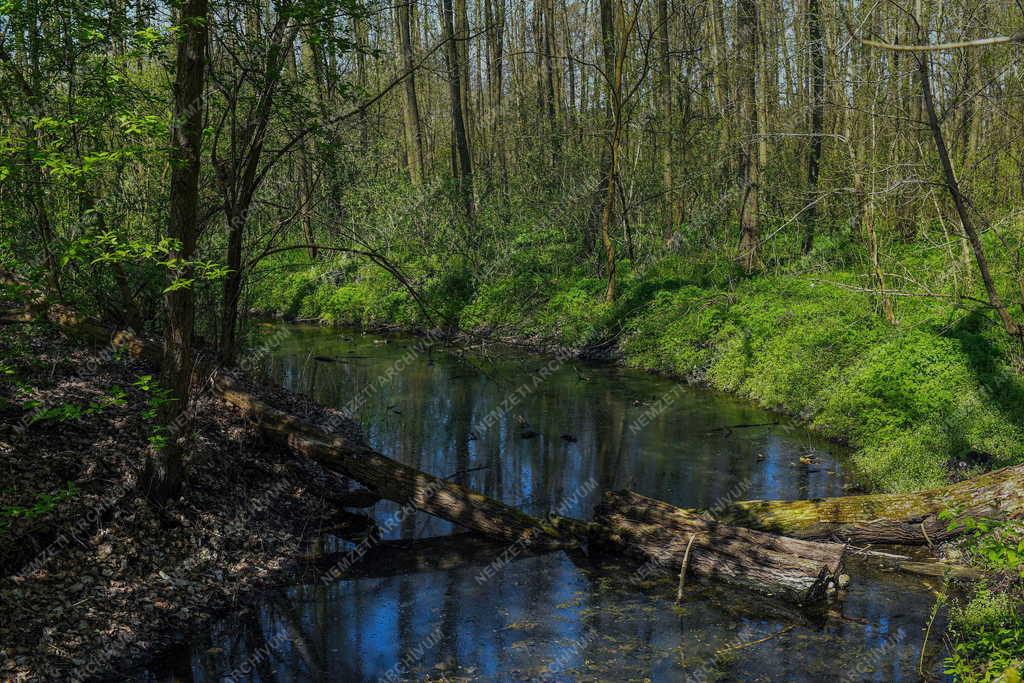 Tájkép - Vekeri-tó