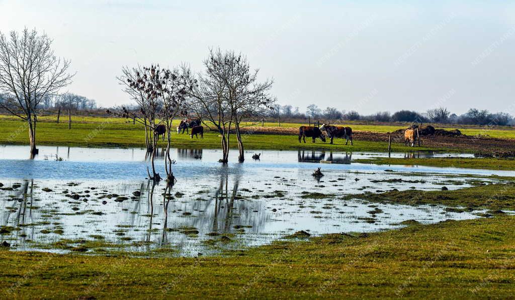 Természetvédelem - 50 éves a Hortobágyi Nemzeti Park