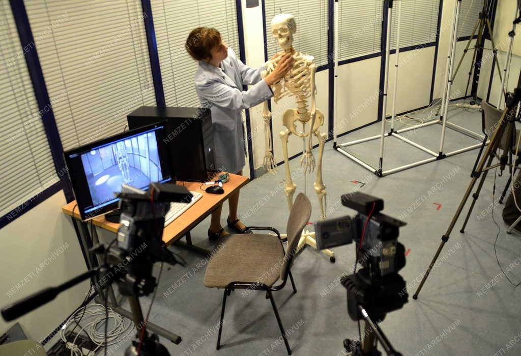 Egészségügy - Budapest - Mozgásvizsgáló laboratórium 