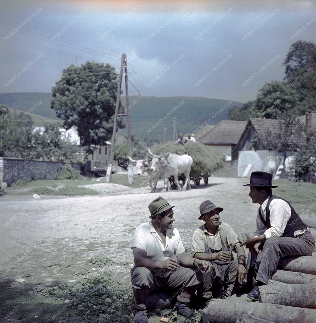 Életkép - Vasárnap Répáshután