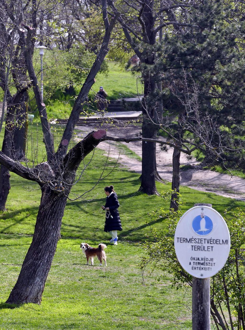 Szabadidő - Budapest - Természetvédelmi terület a Gellért-hegyen