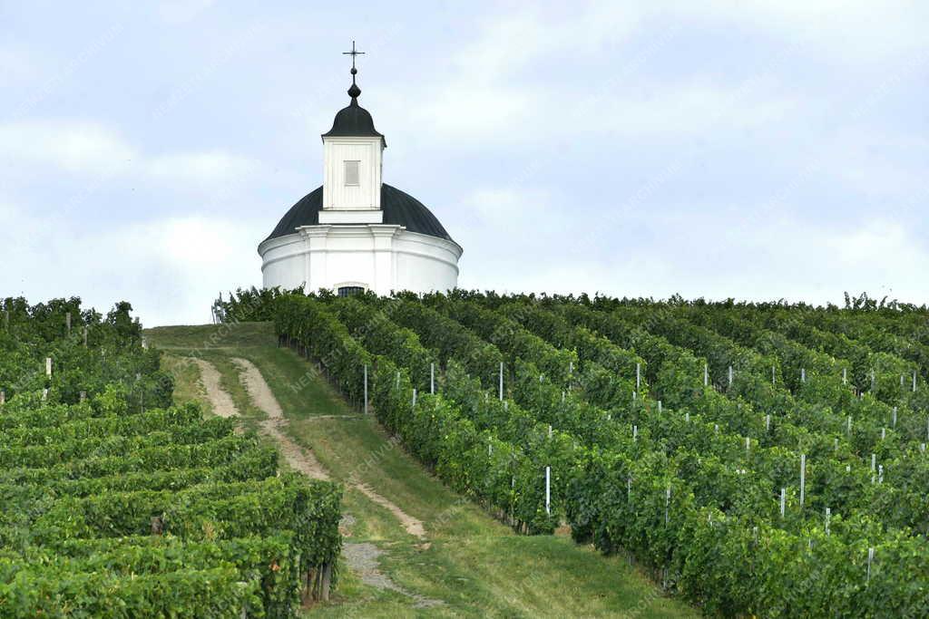 Település - Tarcal - Szent Teréz-kápolna a Henye dombon