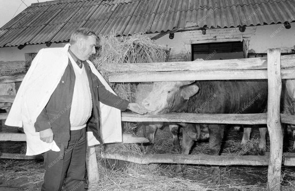 Mezőgazdaság - Személy - Nyeső István tsz-elnök