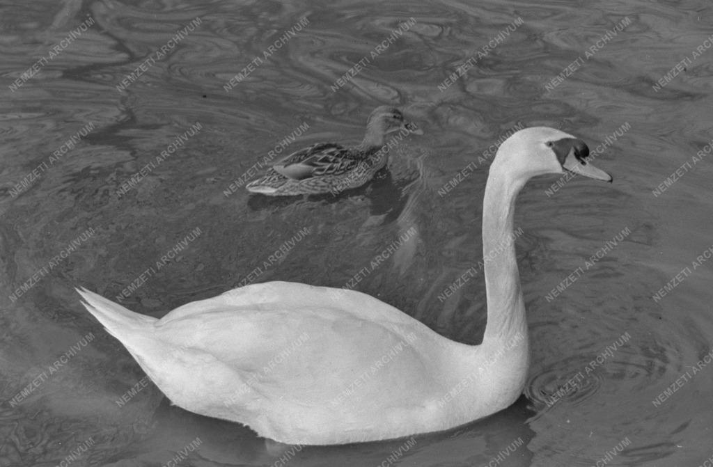 Február 2. az Állatkertben