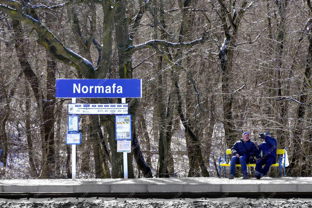 Természet - Budapest - Tél a Normafánál